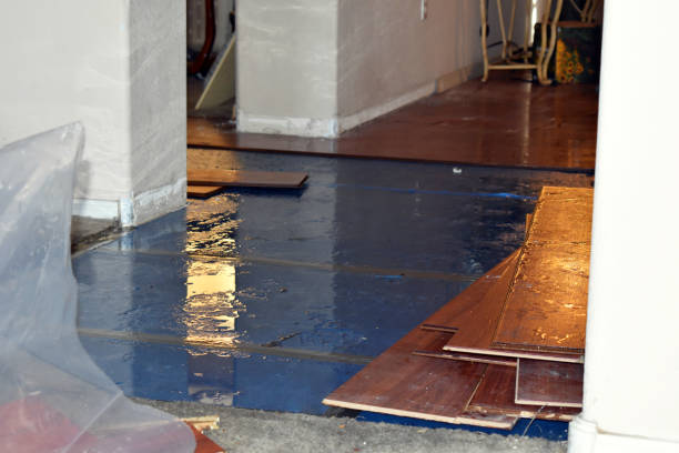 Professional Water Extraction technician working in Leroy, TX